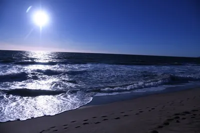 DSC_0543 (Large).JPG